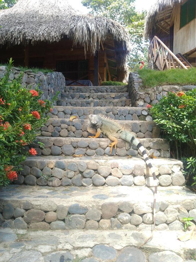 Ecocabanas Diosa Jaguar Tayrona La Esmeralda  Exterior photo