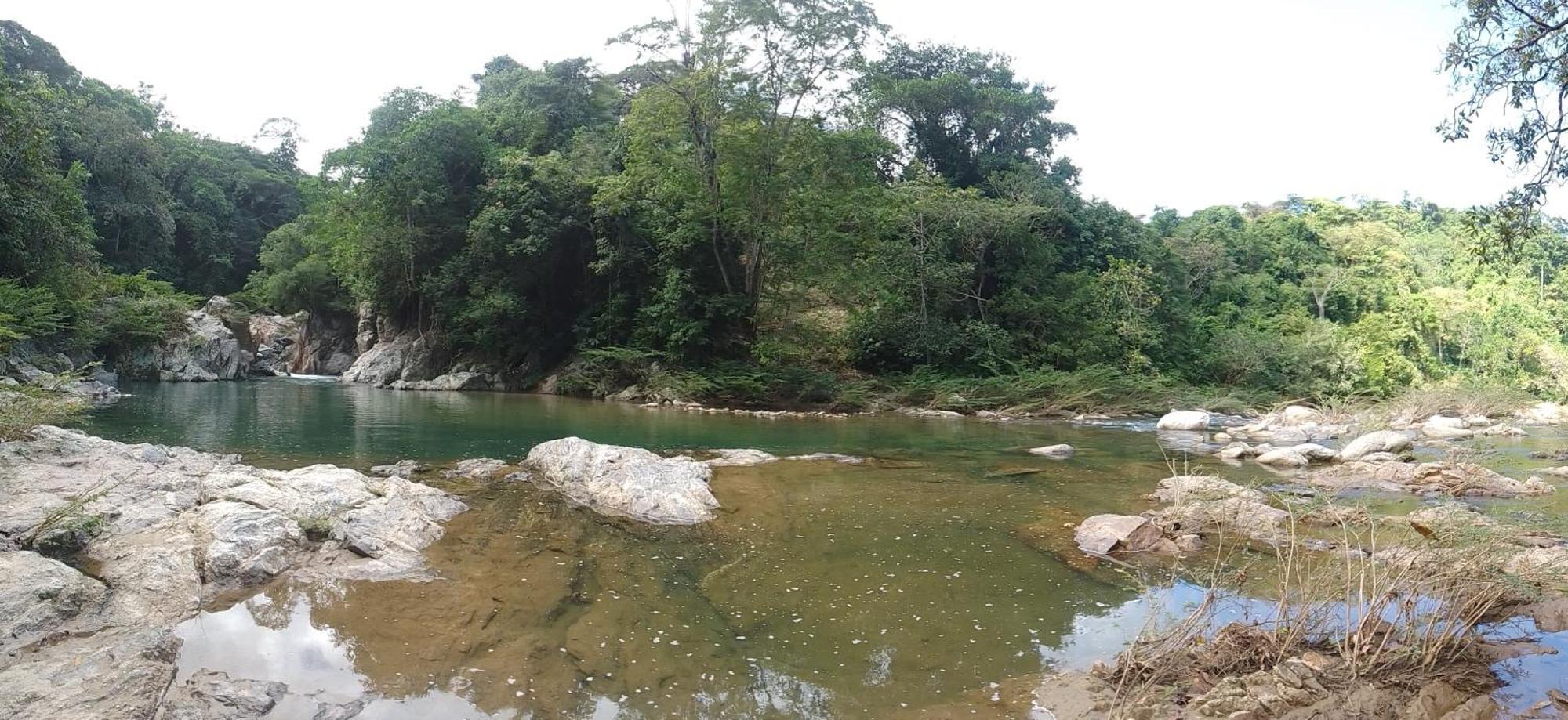 Ecocabanas Diosa Jaguar Tayrona La Esmeralda  Exterior photo