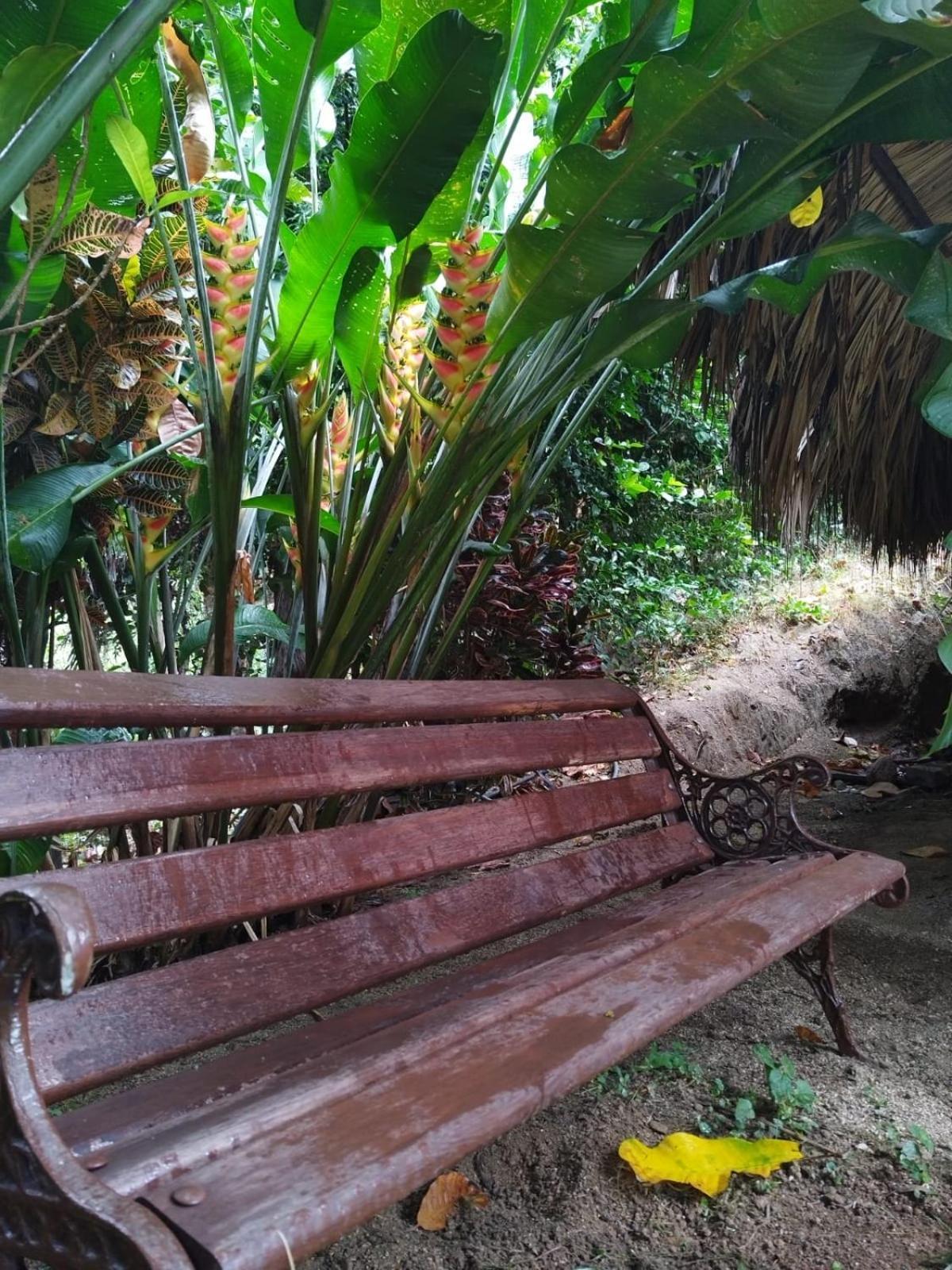 Ecocabanas Diosa Jaguar Tayrona La Esmeralda  Room photo