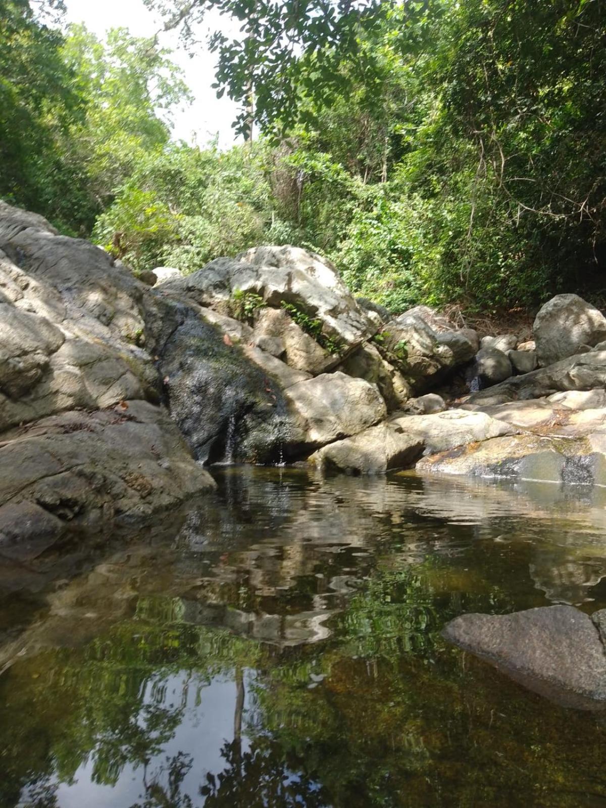 Ecocabanas Diosa Jaguar Tayrona La Esmeralda  Exterior photo