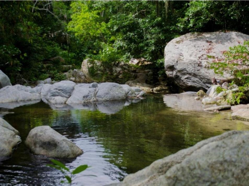 Ecocabanas Diosa Jaguar Tayrona La Esmeralda  Exterior photo