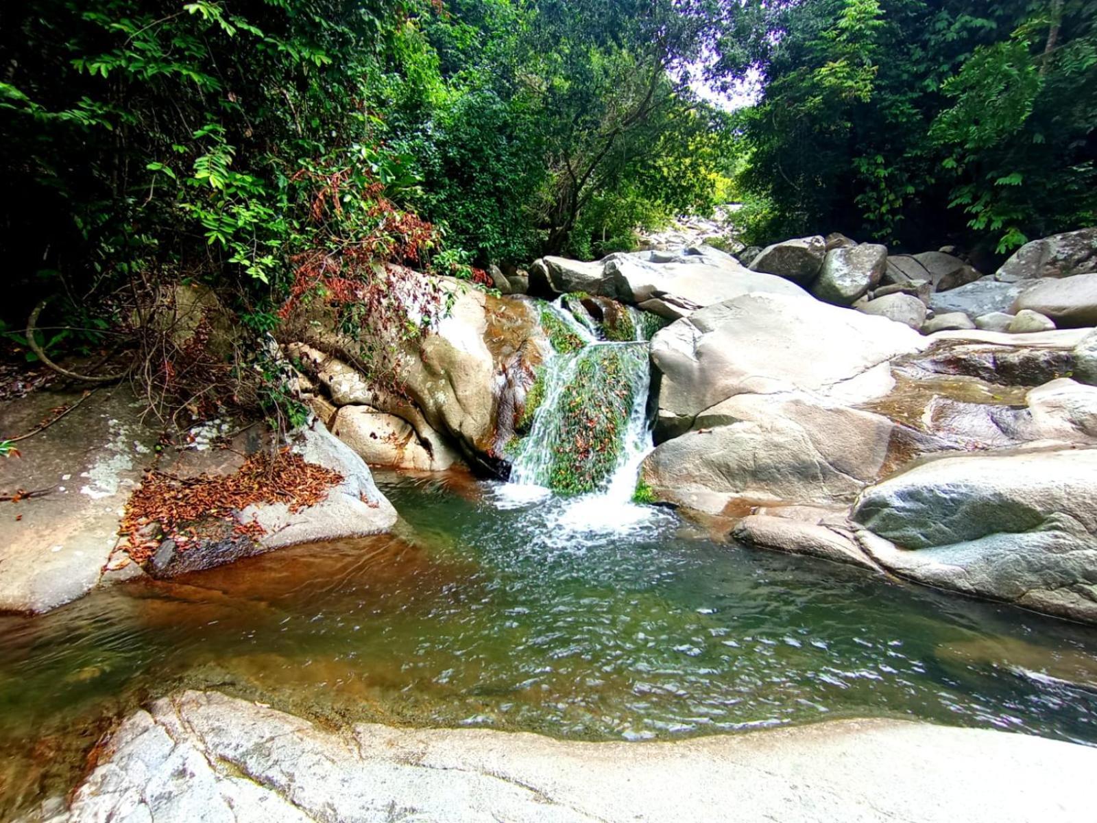 Ecocabanas Diosa Jaguar Tayrona La Esmeralda  Exterior photo